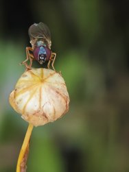 IMG_20240802_193333.jpg