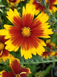 IMG_20240802_193318.jpg