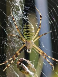 IMG_20240725_092030.jpg