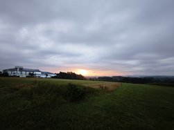 IMG_20240803_061107.jpg