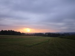 IMG_20240803_061137.jpg