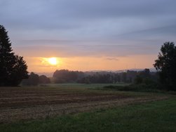 IMG_20240803_061437.jpg