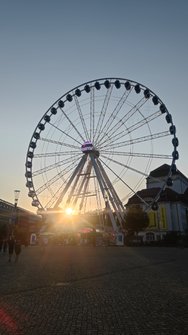 IMG_20240803_195919.jpg