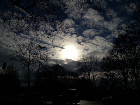 20130102_121534.jpg