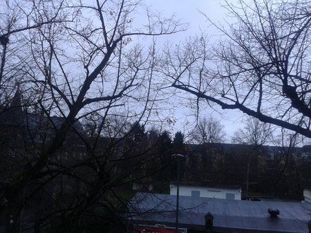 20130103_125355.jpg
