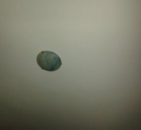 20130103_171930.jpg