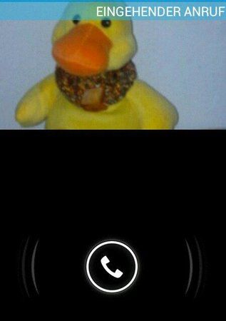 uploadfromtaptalk1357287540224.jpg