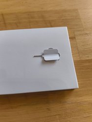 IMG_20240804_092616979.jpg