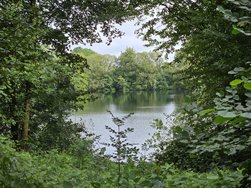 20240804_091116.jpg