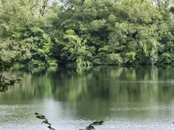 20240804_091127.jpg