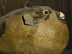IMG_20240804_120341.jpg