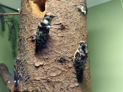 IMG_20240804_113359.jpg