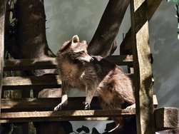 IMG_20240804_103954.jpg