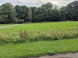 20240804_184746.jpg