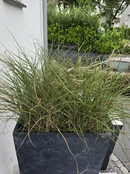 20240804_174645.jpg