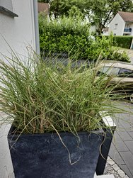 20240804_174652.jpg