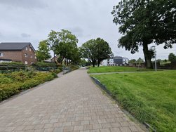 IMG_20240804_155638.jpg