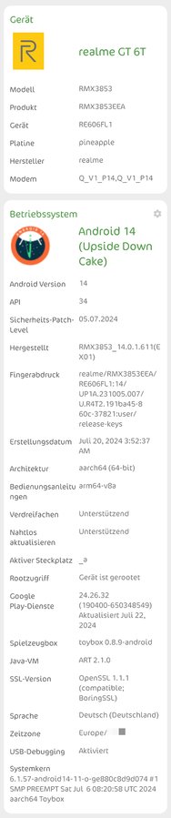 RMX3853_11_A.22 EEA.jpg