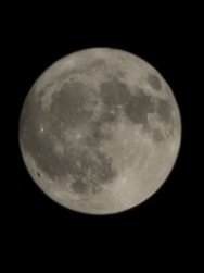 20240721_013344.jpg
