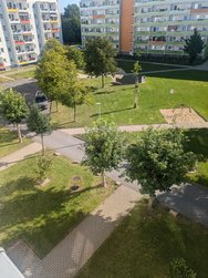 PXL_20240806_070614528.jpg
