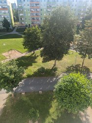 PXL_20240806_070605676.jpg