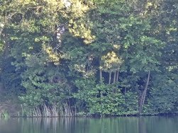 20240806_093102.jpg