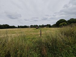 IMG_20240806_220349.jpg