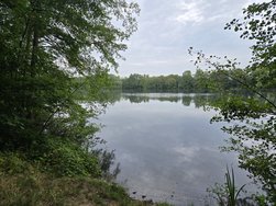 20240807_084142.jpg
