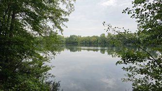 20240807_084227.jpg