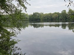 20240807_084145.jpg