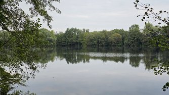 20240807_084230.jpg