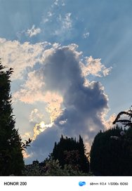 IMG_20240807_194157.jpg