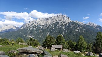 IMG20240806170242.jpg
