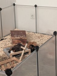 PXL_20240614_201216723.jpg