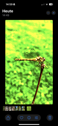 IMG_5333.png