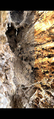 IMG_5364.png