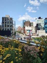 20240727_152921.JPG