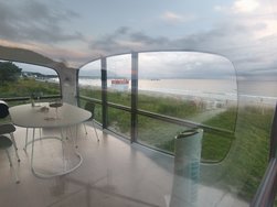 IMG_20240804_202511.jpg