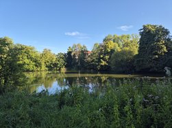 20240811_184022.jpg