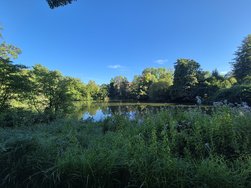 20240811_184025.jpg
