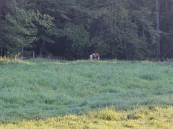 20240811_070033.jpg
