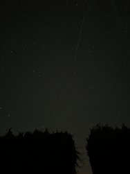 IMG_20240812_002928.jpg