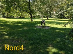 IMG20240812135407~2.jpg