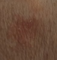 20240812_153658.jpg