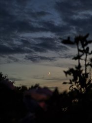 IMG_20240808_213159.jpg