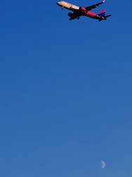 17234868392560.jpg