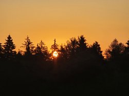 20240811_061409.jpg