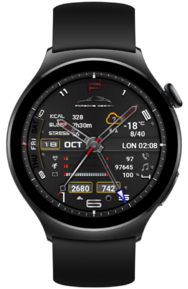 PorscheDesignGZW4_snapshot.png