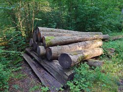 20240810_083409604.JPG