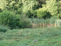20240810_080137722.JPG